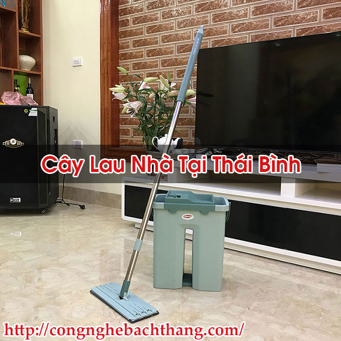 Cây Lau Nhà Tại Thái Bình