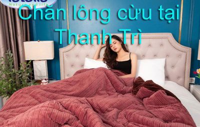 Chăn lông cừu tại thanh trì