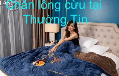 Chăn lông cừu tại thường tín