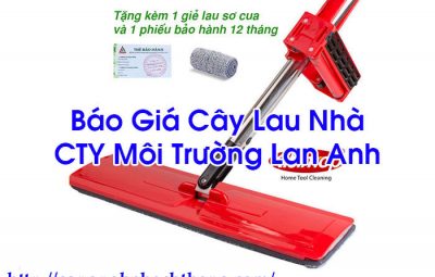 Báo Giá Cây Lau Nhà