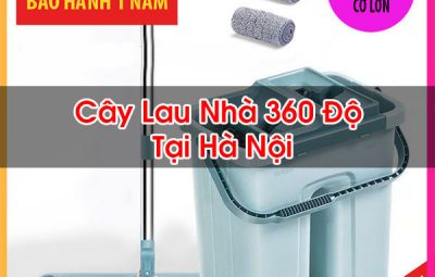 Cây Lau Nhà 360 Độ Tại Hà Nội