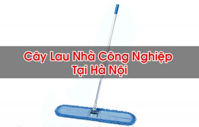 Cây Lau Nhà Công Nghiệp Tại Hà Nội