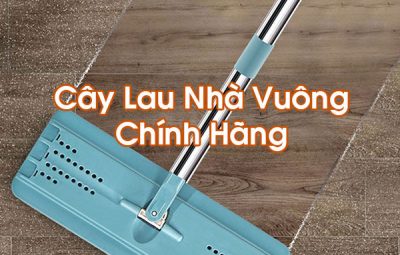 Cây Lau Nhà Vuông