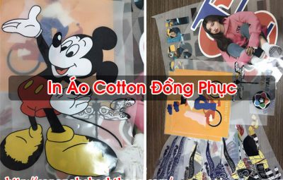 In Áo Cotton Đồng Phục