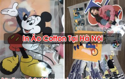 In Áo Cotton Tại Hà Nội