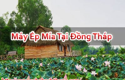 Máy Ép Mía Tại Đồng Tháp