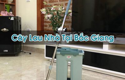 Cây Lau Nhà Tại Bắc Giang