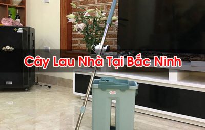 Cây Lau Nhà Tại Bắc Ninh