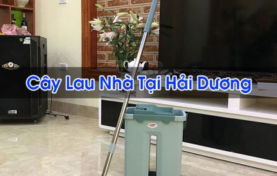 Cây Lau Nhà Tại Hải Dương