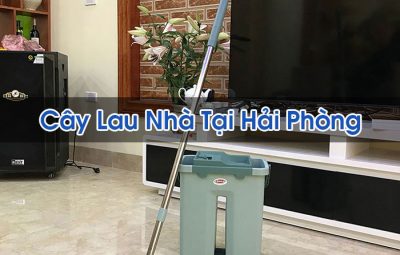 Cây Lau Nhà Tại Hải Phòng