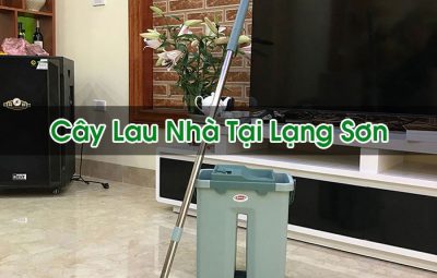 Cây Lau Nhà Tại Lạng Sơn