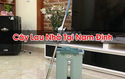 Cây Lau Nhà Tại Nam Định