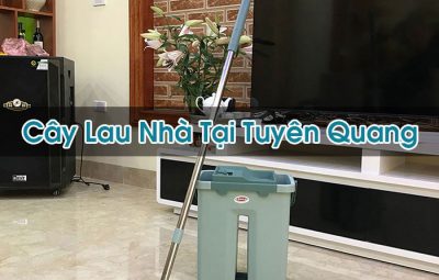 Cây Lau Nhà Tại Tuyên QuangCây Lau Nhà Tại Tuyên Quang